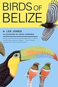 Read Birds of Belize (Corrie Herring Hooks Series Book 57), written by H. Lee Jones