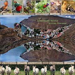 Island Saint Helena: British Overseas, written by Naira Matevosyan; Richard Matevosyan