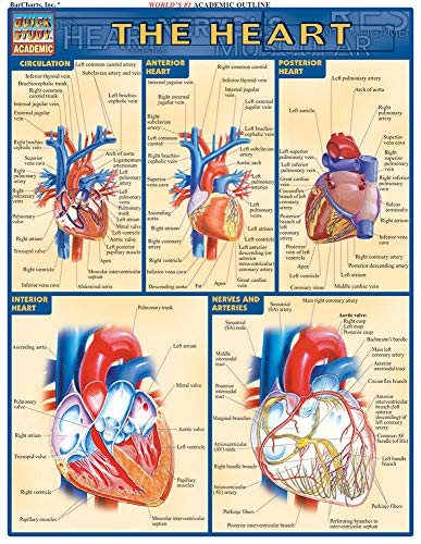 Read Heart QuickStudy Laminated Reference Guide (QuickStudy Academic), written by Vincent Perez Read Heart QuickStudy Laminated Reference Guide (QuickStudy Academic), written by Vincent Perez