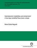 Read Hydrodynamic instabilities and entrainment in two-layer stratified flows down a slope, written by Maria Eletta Negretti