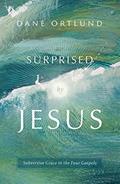 Read Surprised by Jesus: Subversive grace in the four Gospels, written by Dane C Ortlund