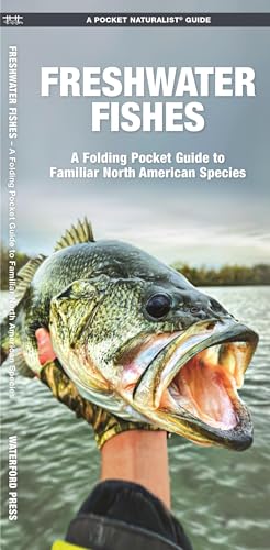 Read Freshwater Fishes: A Folding Pocket Guide to Familiar North American Species (Nature Observation North America), written by James Kavanagh