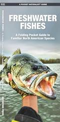 Read Freshwater Fishes: A Folding Pocket Guide to Familiar North American Species (Nature Observation North America), written by James Kavanagh