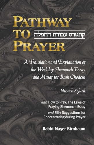 Read Pathway to Prayer: Weekday Amidah - Nusach Sefard, written by Rabbi Mayer Birnbaum