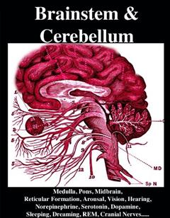 Brainstem and Cerebellum: Medulla, Pons, Midbrain, Reticular Formation, Arousal, Vision, Hearing, Norepinephrine, Serotonin, Dopamine, Sleeping, Dreaming, REM, Cranial Nerves, Motor Control,, written by R. Joseph