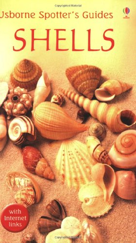 Read Shells (Usborne Spotter's Guide), written by Graham Saunders