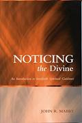 Read Noticing the Divine: An Introduction to Interfaith Spiritual Guidance (Spiritual Directors International Books), written by John R. Mabry