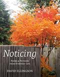 Read Noticing: Poems and Pictures from Everyday Life, written by David Ellingson