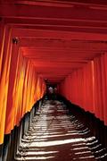 Read Torii Gates of Fushimi Inari Shrine Kyoto Japan Journal: 150 page lined notebook/diary, written by Cool Image Read Torii Gates of Fushimi Inari Shrine Kyoto Japan Journal: 150 page lined notebook/diary, written by Cool Image