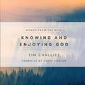 Read Knowing and Enjoying God (Words from the Wise), written by Tim Challies
