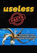 Read Useless Facts: That Will Make You Much More Interesting., written by Neeraj Kumar