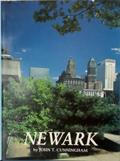 Read Newark, written by John T. Cunningham