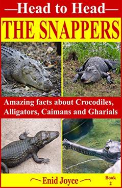 The Snappers: Amazing facts about the Crocodile, the Alligator, the Caiman and the Gharial (Head to Head Book 2), written by Enid Joyce