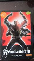 Read Frankenstein The Graphic Novel: Original Text (Classical Comics), written by Mary Shelley