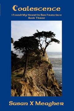 Coalescence (I Found My Heart in San Francisco Book 3), written by Susan X Meagher