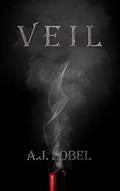 Read Veil, written by A.J. Sobel