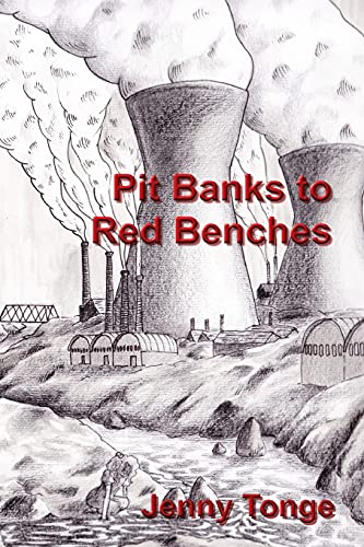 Read Pit Banks to Red Benches: From the Black Country to the Lords, written by Jenny Tonge