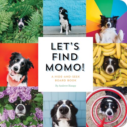 Read Let's Find Momo!: A Hide-and-Seek Board Book, written by Andrew Knapp Read Let's Find Momo!: A Hide-and-Seek Board Book, written by Andrew Knapp