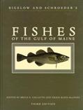Read Bigelow and Schroeder's Fishes of the Gulf of Maine, Third Edition, written by Bruce B. Collette; Grace Klein-Macphee