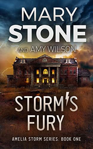 Read Storm's Fury (Amelia Storm FBI Mystery Series Book 1), written by Mary Stone