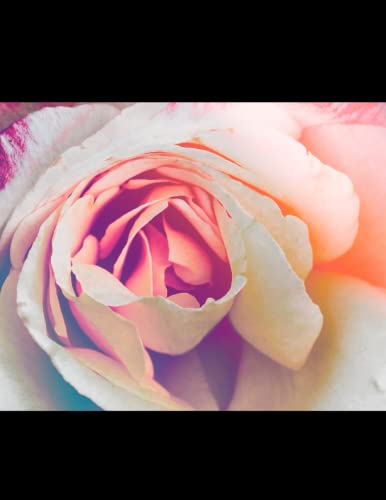 Read Leslie's Big Flower 3118 Notebook, written by Jennifer Brookins; Leslie Bruner