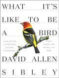 Read What It's Like to Be a Bird: From Flying to Nesting, Eating to Singing--What Birds Are Doing, and Why (Sibley Guides), written by David Allen Sibley