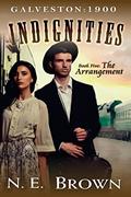 Read Galveston: 1900-Indignities Book 5: The Arrangement, written by N.E. Brown