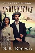 Read Galveston: 1900 - Indignities Book 5: The Arrangement, written by N.E. Brown