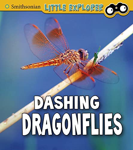 Read Dashing Dragonflies (Smithsonian Little Explorer: Insect Explorer), written by Megan Cooley Peterson